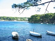 Cikat - baia